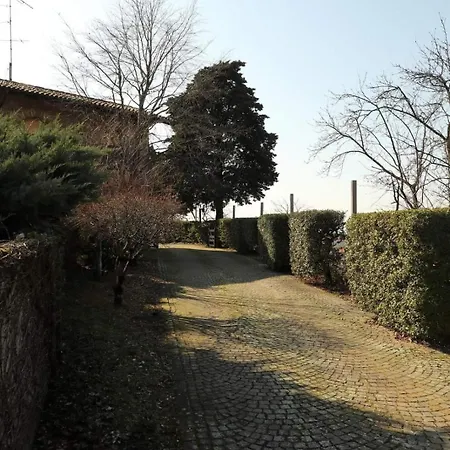 Viscardo 타르센토